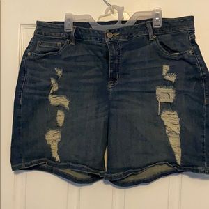 Lane Bryant distressed shorts